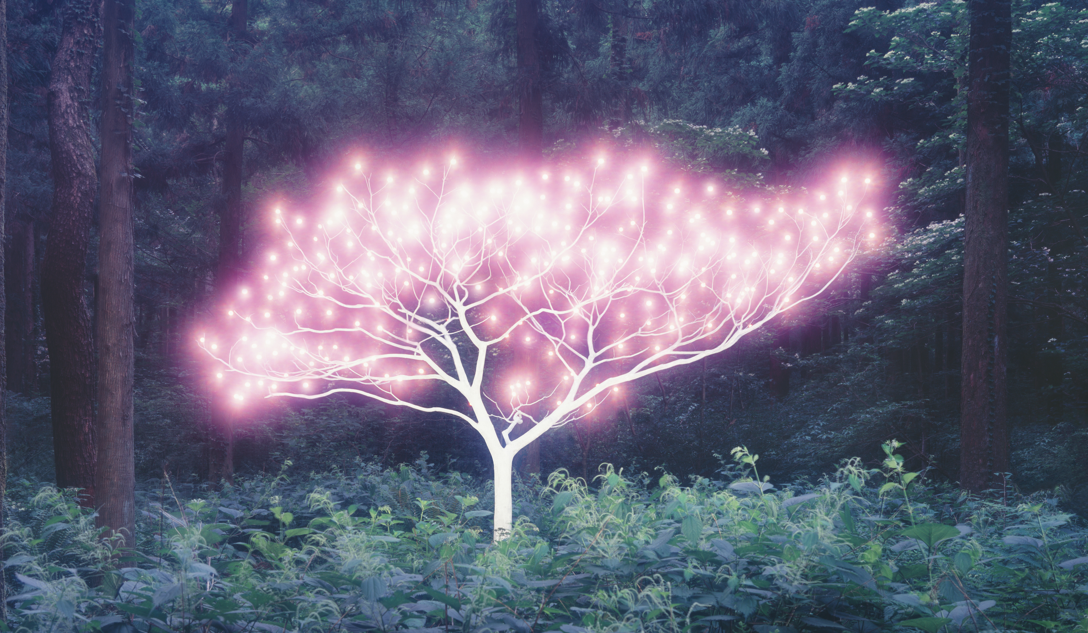 李政錄Lee Jeonglok